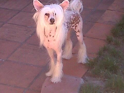 Saint Christopher's magic Aragorn