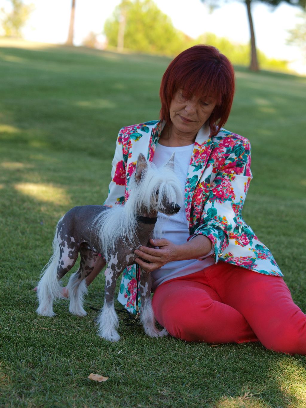 D'Ezor Walking The Jazz 