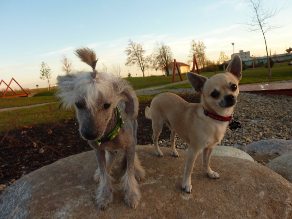 Anastacia Lovely Soncco Cua