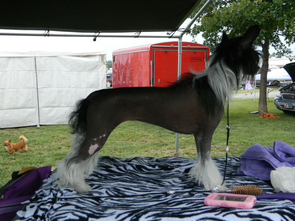 Illuminated Creekside