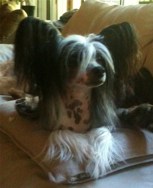 Face It I Am That Good N'co