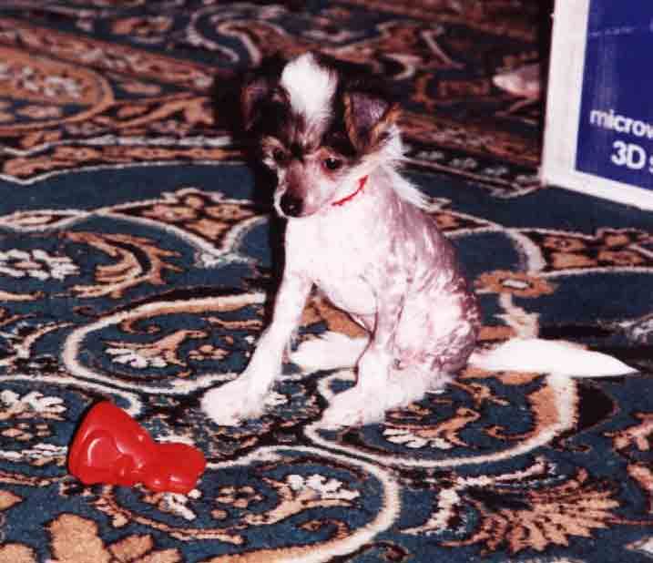 La Votre Belle  Haivrau.