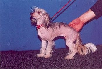 La Votre Belle Hepiens