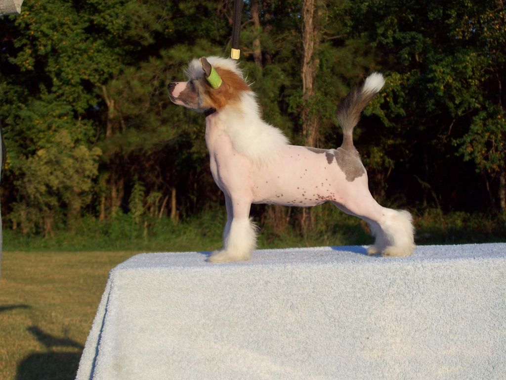 Explicit's Raise Your Glass