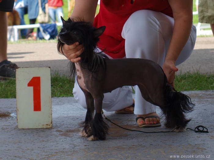 Veronique ze Zatopené chajdy