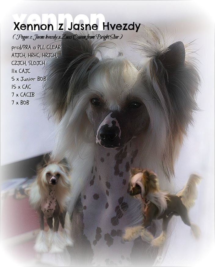 Xennon z Jasne hvezdy