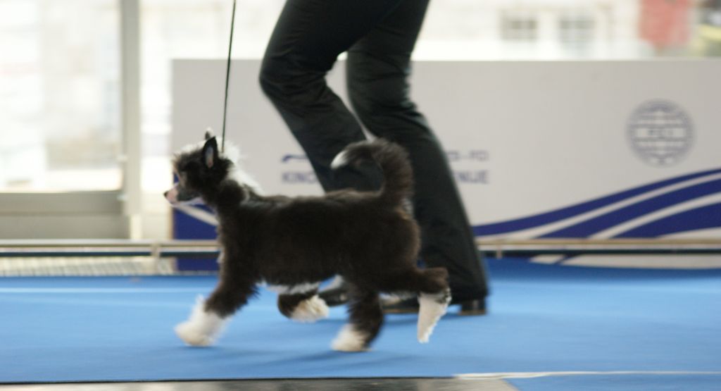 Xena di Amica mia z Jasne hvezdy