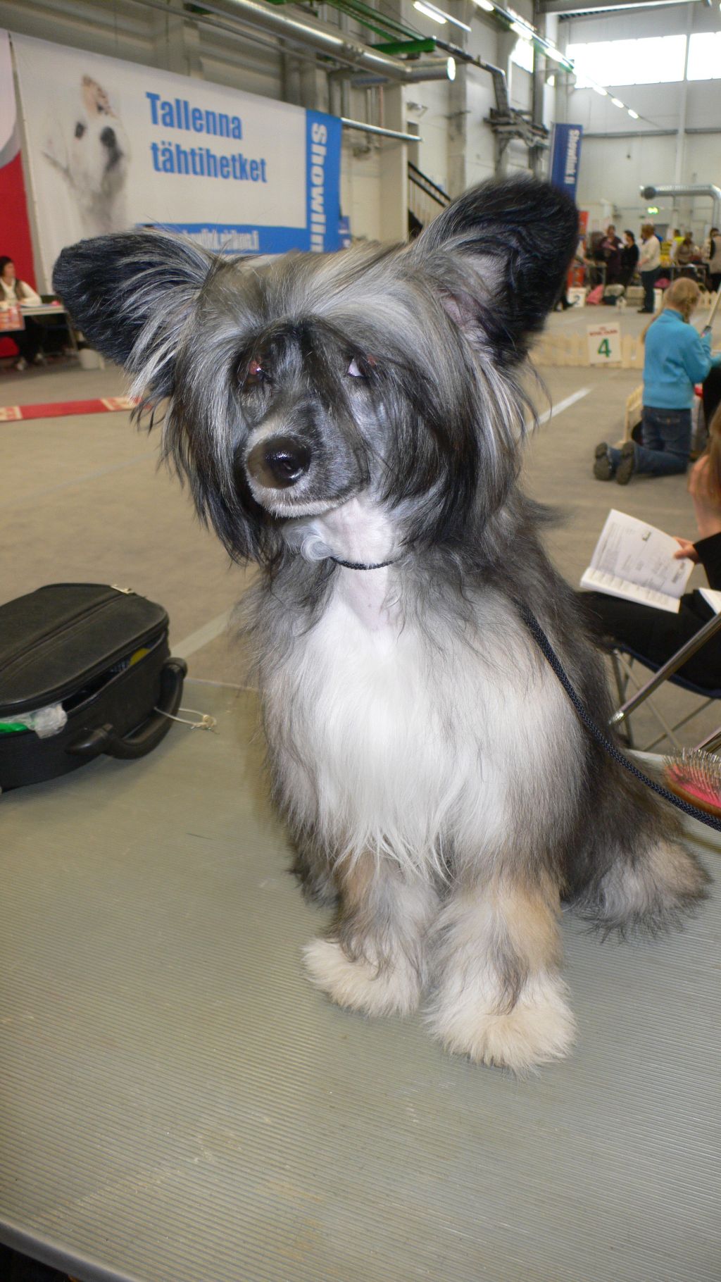 Sun Dan Summer Romance