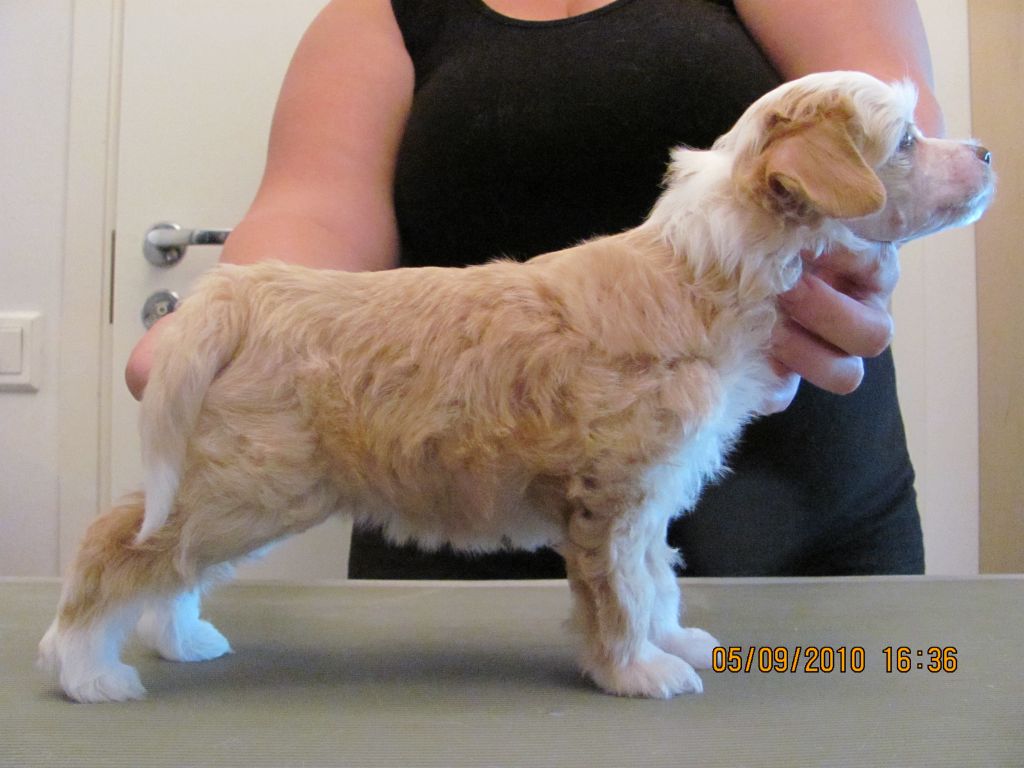 Sun Dan Summer Party