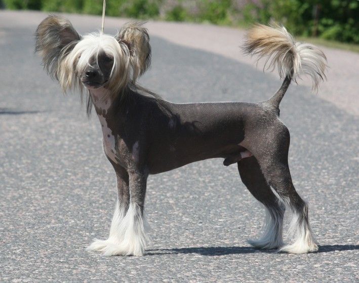 Maybell's It's Now Or Never