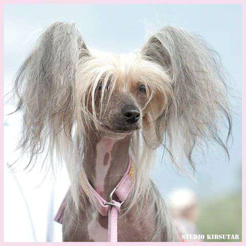 Maybell's It's All About Me