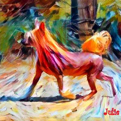 Julie Top Model De Rama