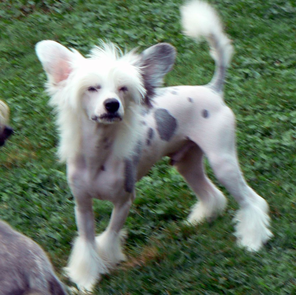 Inya Dreams Just Not That Into You