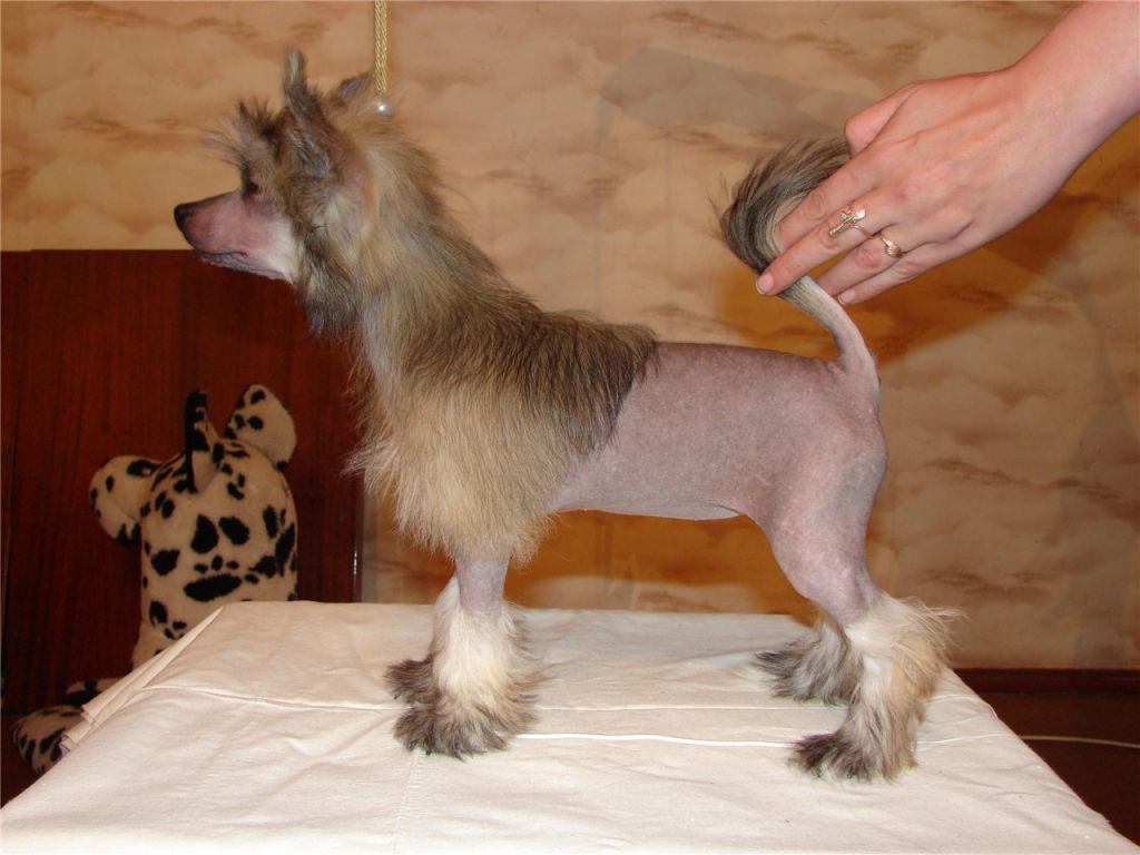 Illuyziya Leyla East Sharm