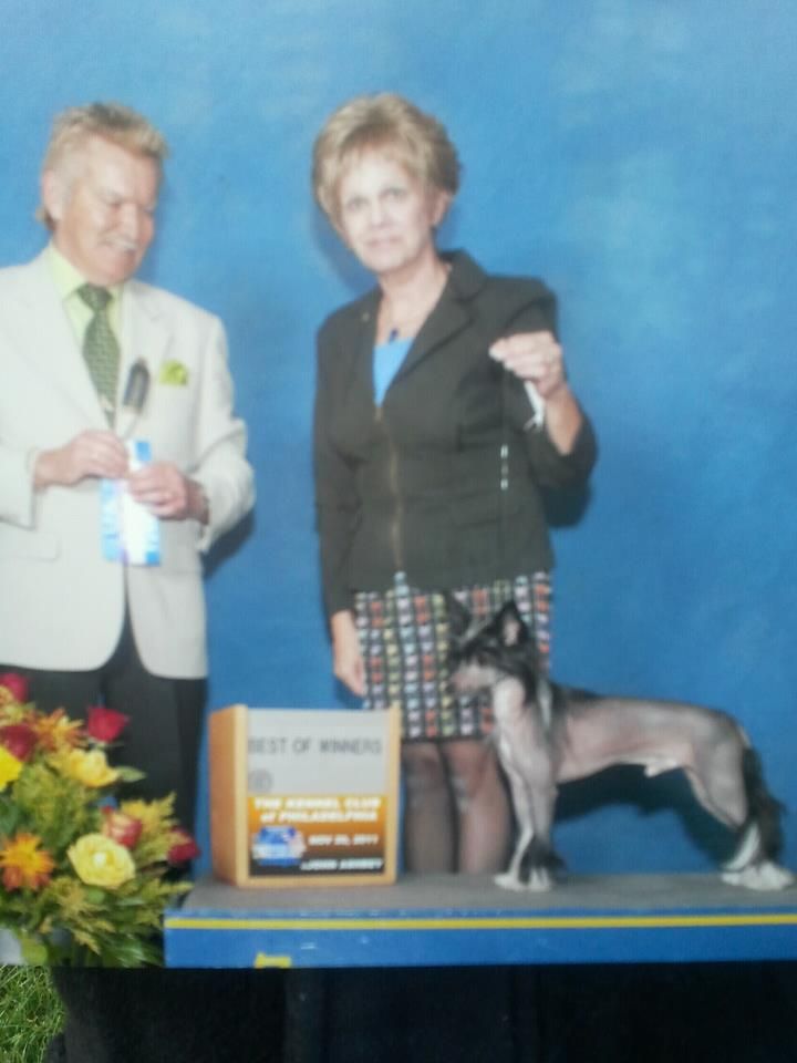 Tippytoes Itza Miracle