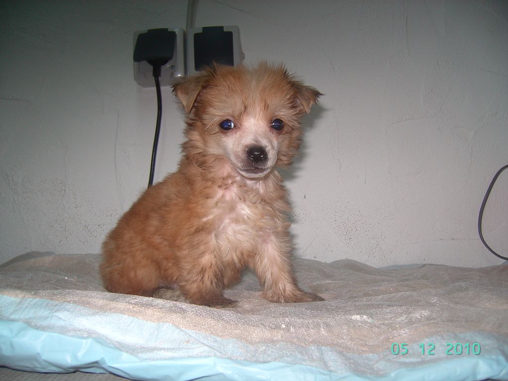 Frendor's X-boyfriend