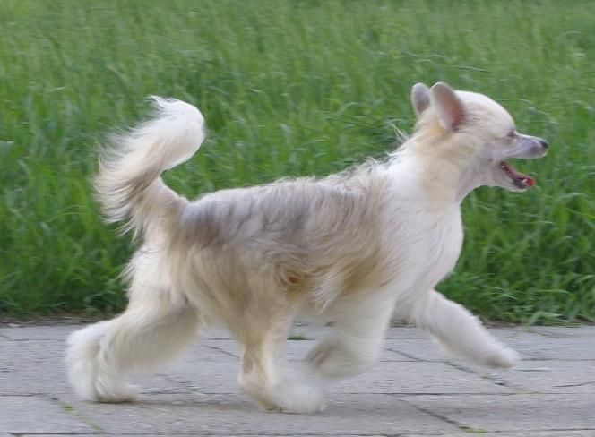 Secret Bedziesz Moja Pania