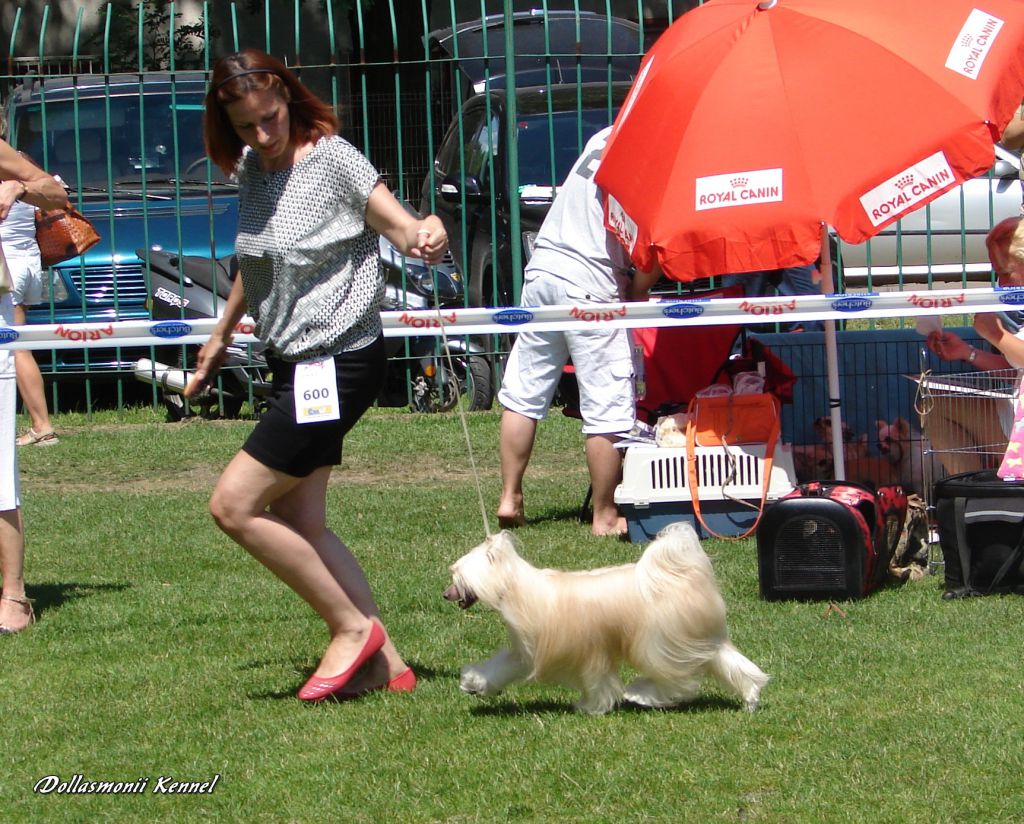 Asmodeusz Valkiria Knight