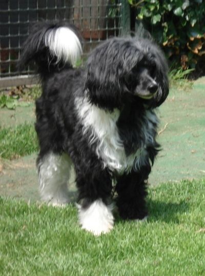 Special Edition Better By Far