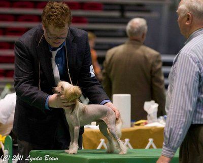 Edelweiss For The Love of Pete at Jo-Pearl