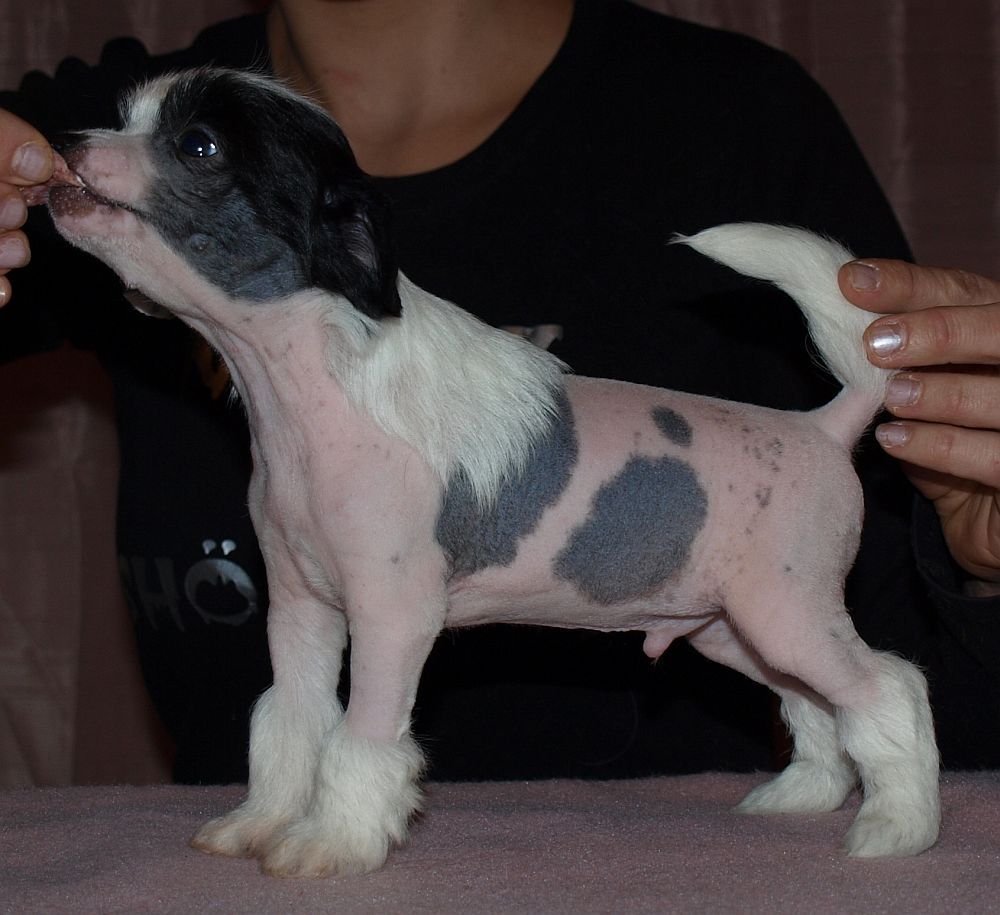 Chattanooga's Give Me A Break