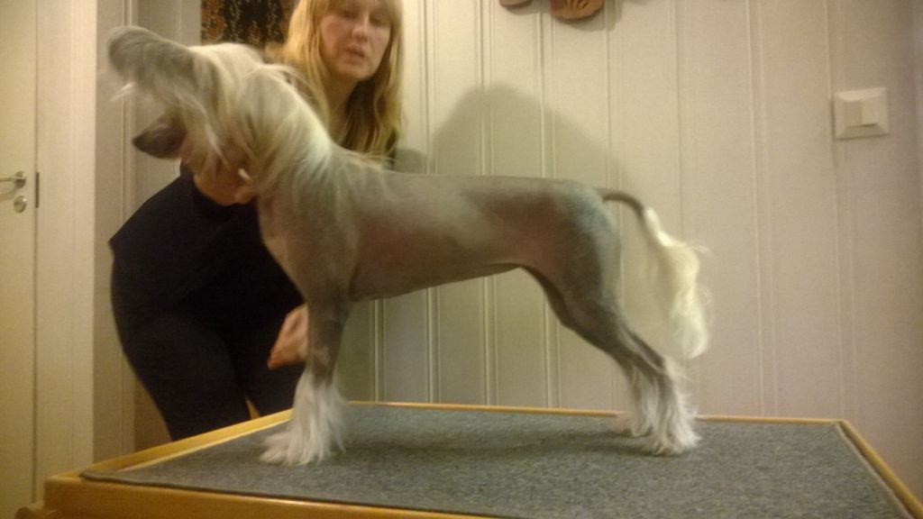 Sun Dan Made In Heaven