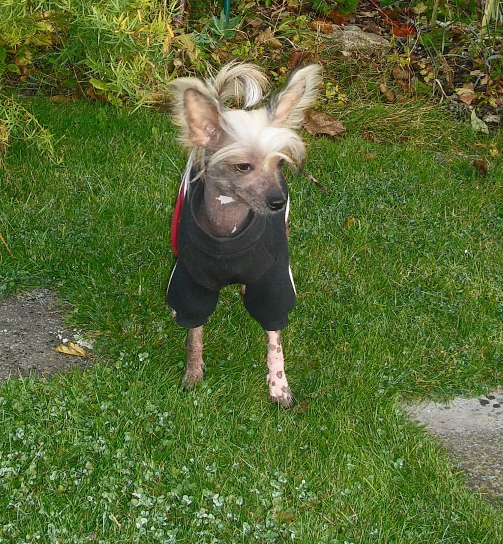 Yunao's Dayana Cecil