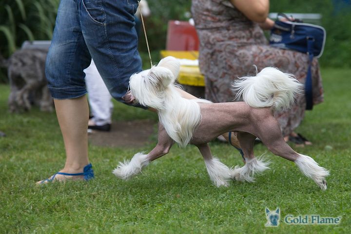 Rus Foreva  Honey Rain