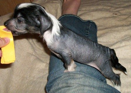 Mosaic's With All my Heart