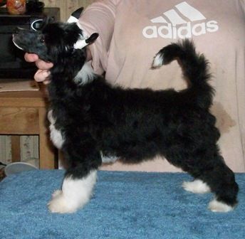 Mosaic's Sealed With A Kiss At Jo-Bar