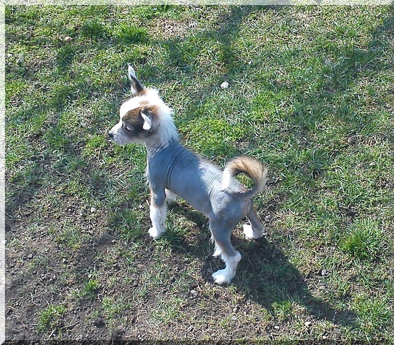 Fundoklia-völgyi Kaszanics Il'roy