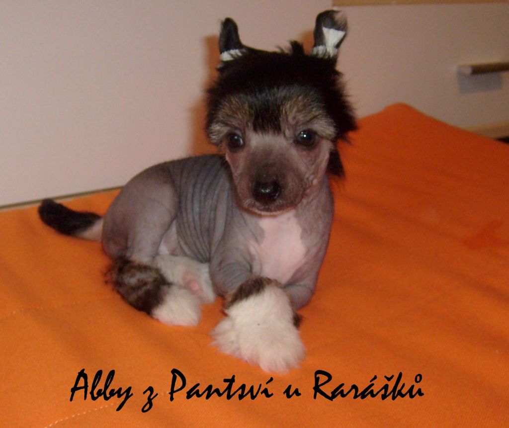 Abby z Panstvi u Rarasku