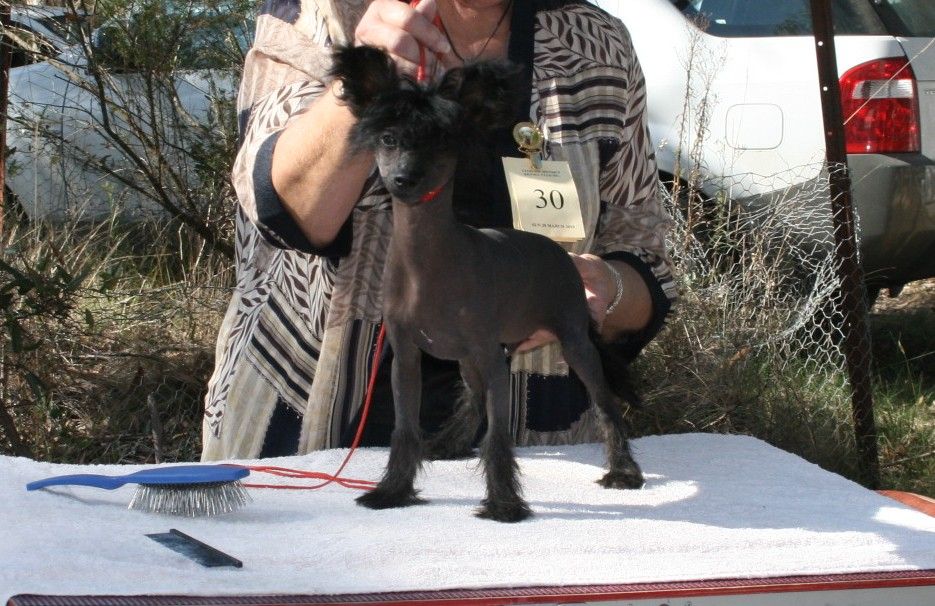 Chinois Back In Black