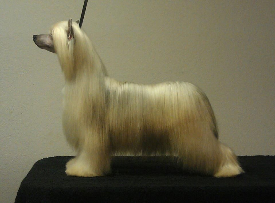 Explicit's U Think Ur Cooler Then Me Kalan