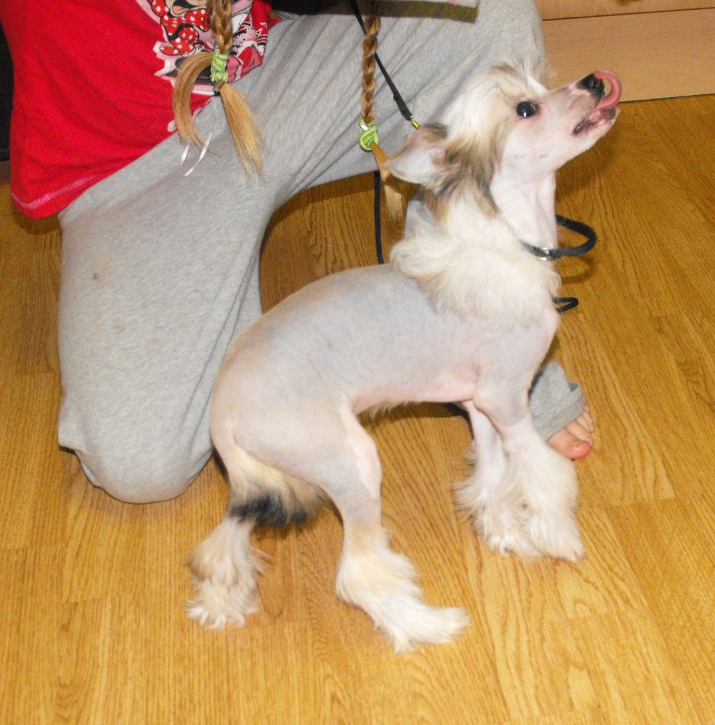 Tamarsh Risky Bizness at Talakamali 