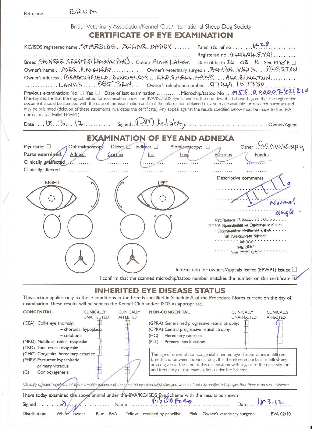 Starside Sugar Daddy From Tamarsh
