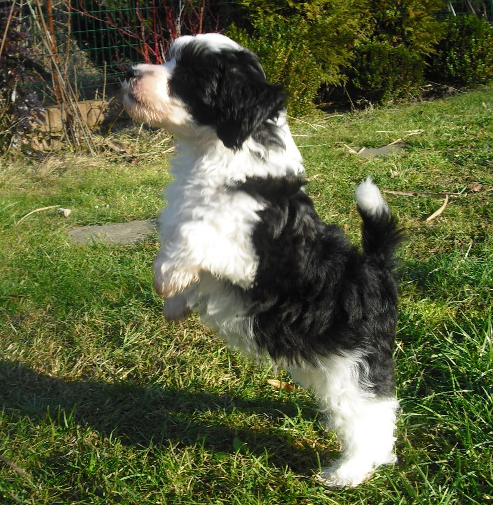 Yunao's Eminor Estan