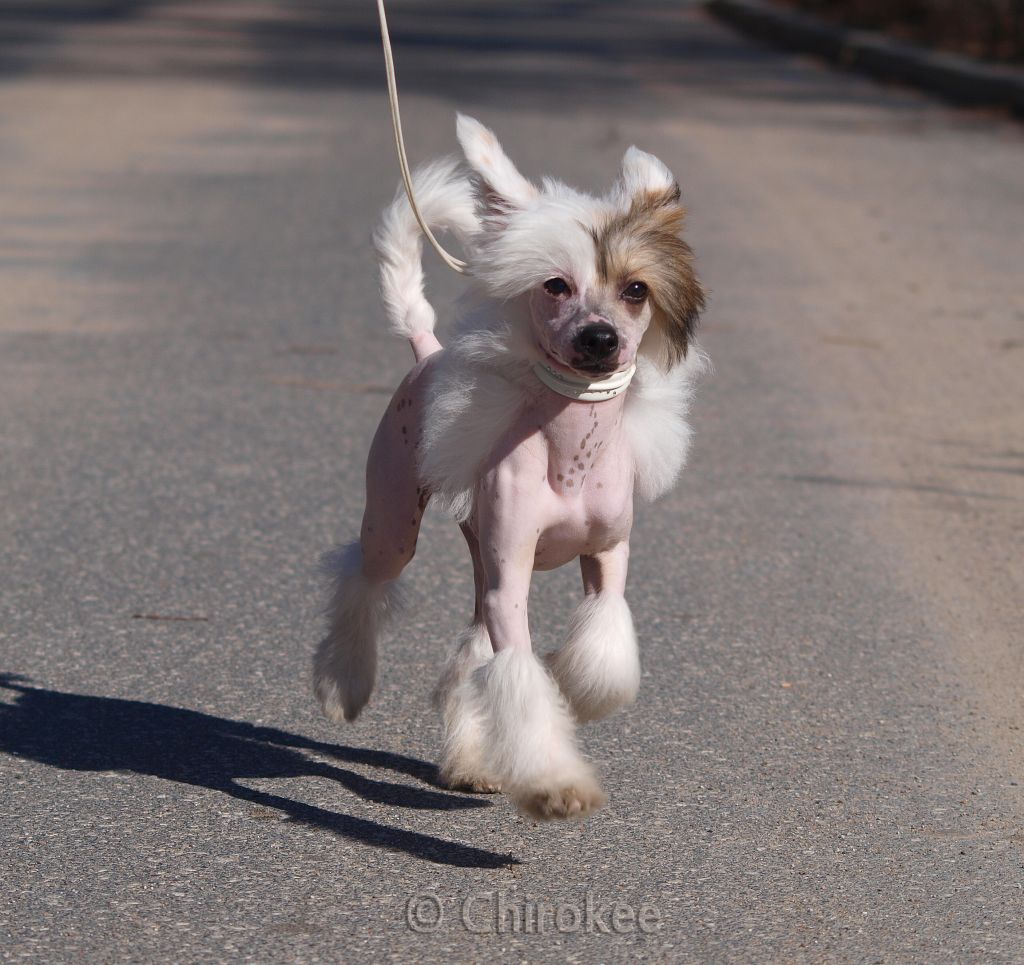 Yaquina's C'est la vie