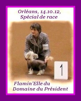 Flamin' Elle du Domaine du Président