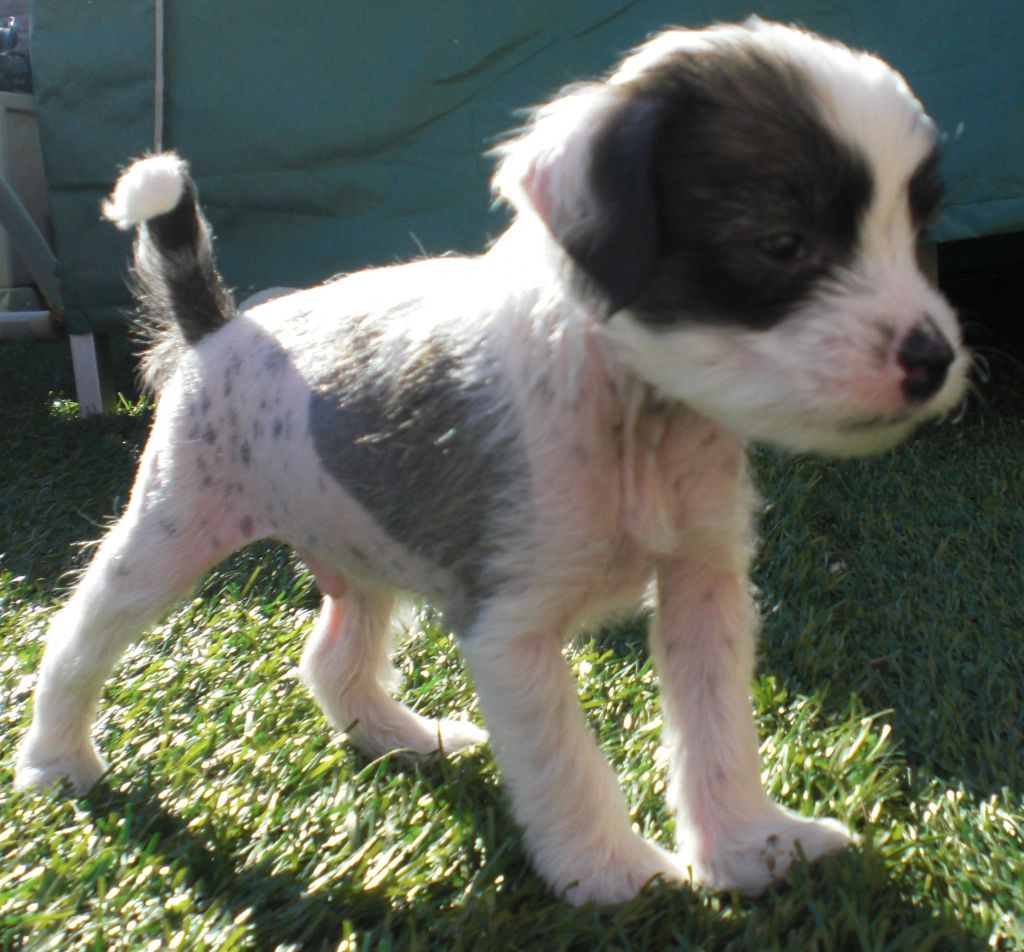 You Can Leave Your Hat  On Raintoy Love