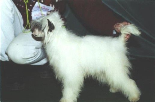 Sandaski Izumrudnii Ostrov