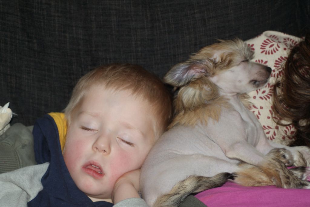 De La Mahafu's Princess Imaya