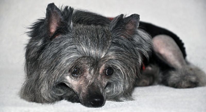 Elfgrace Gastilina Nuerra