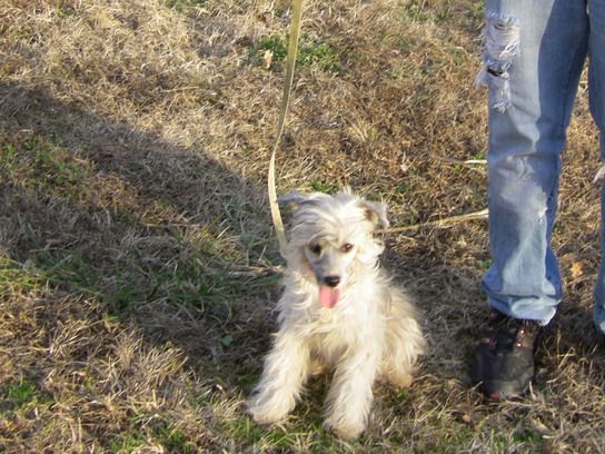 Swancreek Trix or Treat