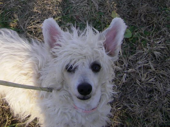 Swancreeks They Call Me Chloe