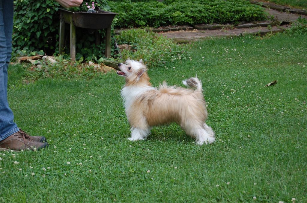 Grinmor's All That And Then Some