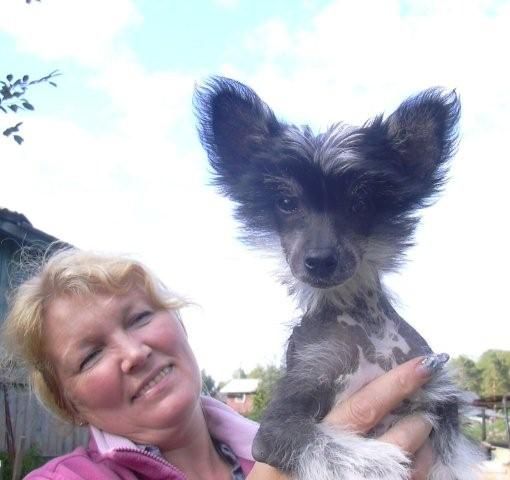 Tamerlan Beshtau Kapitoshka Askor Yumar