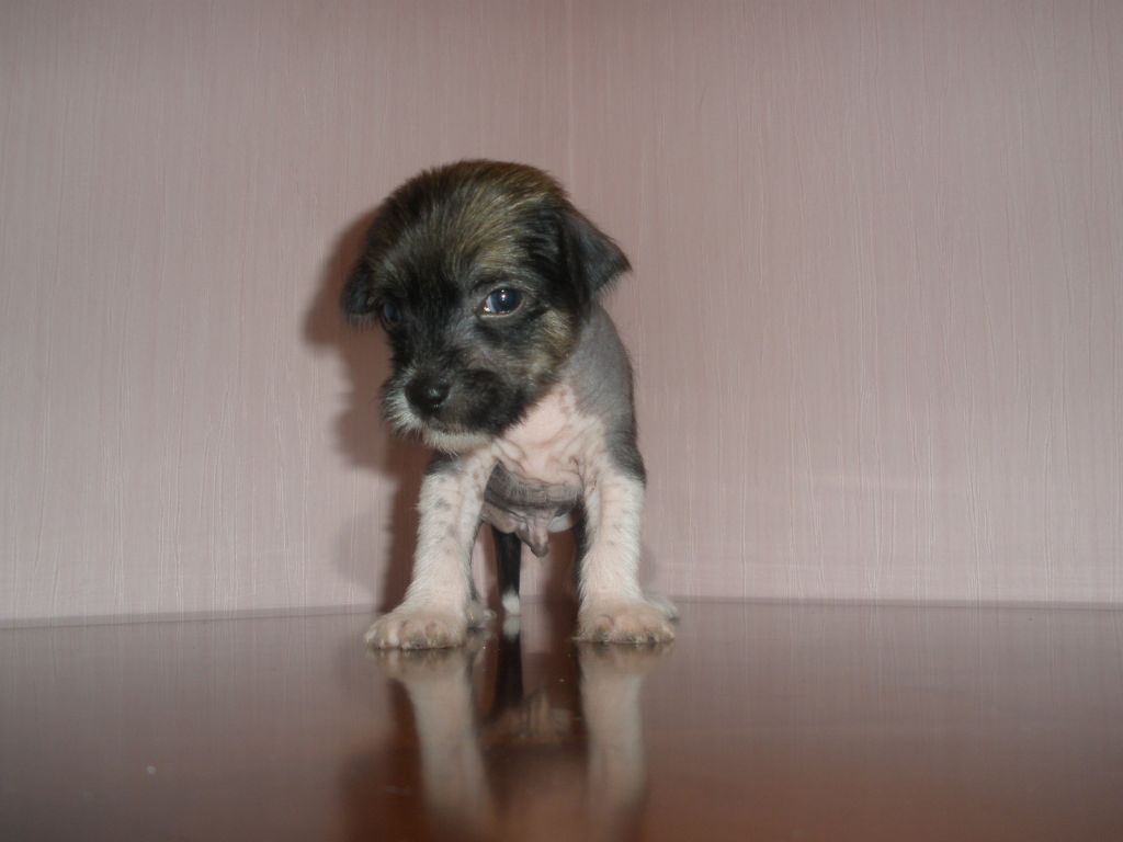 Space Soldier de Fageiro