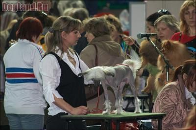 Viktory Sprint Tsenturion Markus