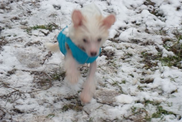 Mashama Mazi Rus Johari Fana